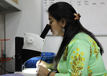 Research in the biosciences lab