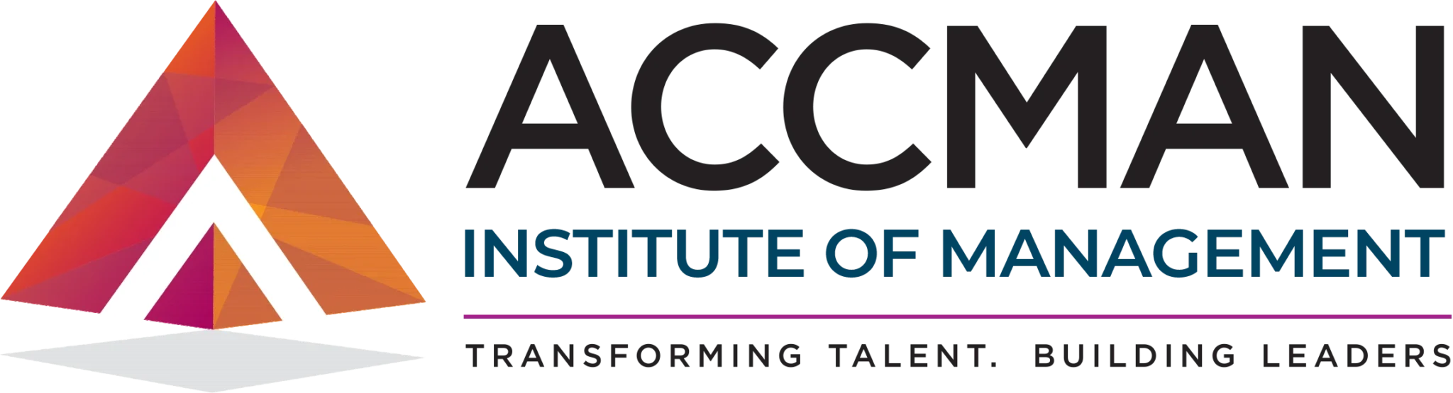 ACCMAN Logo